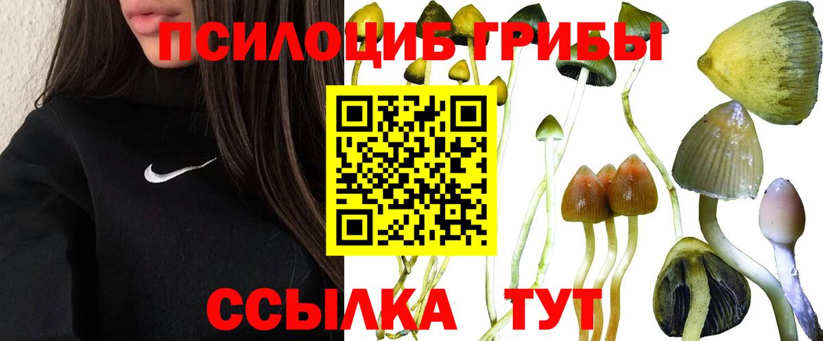 Галлюциногенные грибы мухоморы  купить наркоту  Галлюциногенные грибы GOLDEN TEACHER  Тихвин  Вход с VPN 